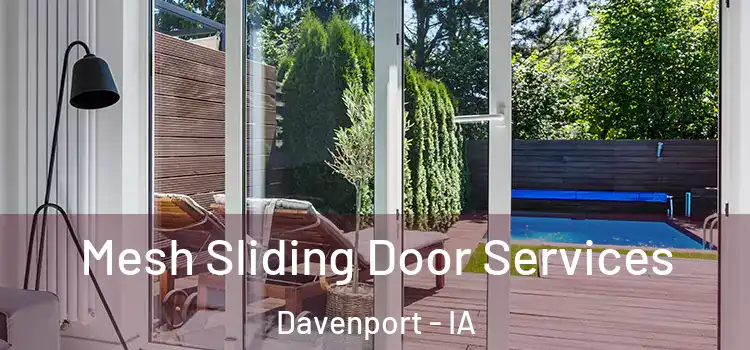 Mesh Sliding Door Services Davenport - IA